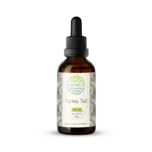 HerbEra Turkey Tail Tincture