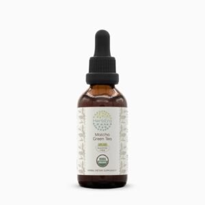 HerbEra Matcha Green Tea Tincture