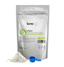 NutriVita MSM Powder 1000mg