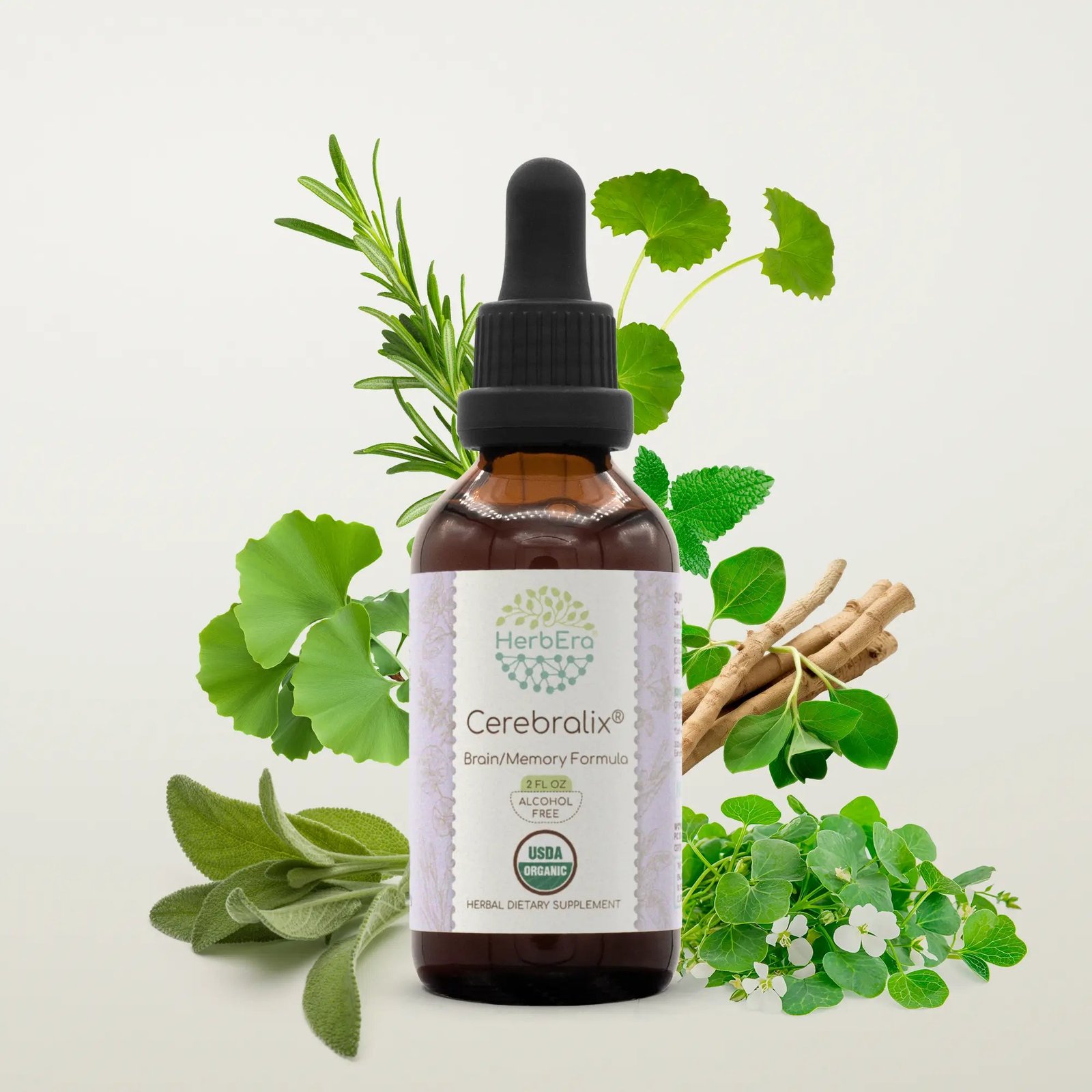 HerbEra Cerebralix Liquid Tincture 2 fl oz (60ml) HerbEra Cerebralix Liquid Tincture 2 fl oz (60ml)